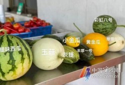 夏日吃瓜选瓜攻略指南,轻松解锁夏日清凉美味