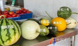 夏日吃瓜选瓜攻略指南,轻松解锁夏日清凉美味