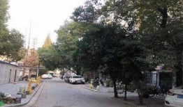 文安最新小区吃瓜,邻里纠纷引热议，吃瓜群众围观不停