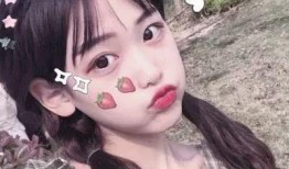 吃瓜少女 胖脸吉祥,揭秘网络红人的魅力与成长之路