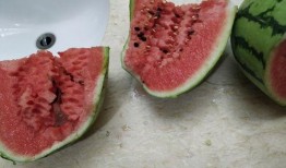 新疆疫情吃瓜,吃瓜群众视角下的防疫战记