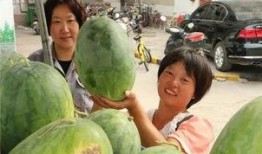 炮打灯吃瓜,揭秘网络热点的背后真相