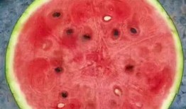 吃瓜拍照神器推荐,轻松拍出时尚大片！