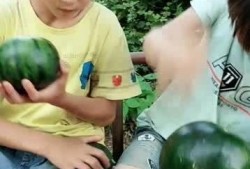 吃瓜动作表演,吃瓜动作大赏