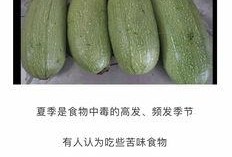 湖南最新吃瓜,揭秘网红美食背后的故事