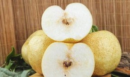 白吊瓜立春可以吃吗