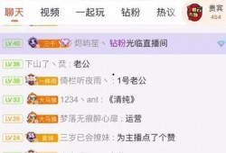 吃瓜直播间情感,情感交织的虚拟世界