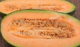 哈密瓜几月份吃合适,哈密瓜最佳食用月份大盘点