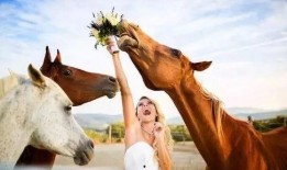 小马吃瓜摄影师,捕捉生活中的美好瞬间