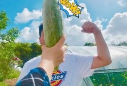 带你吃瓜之缅甸,带你吃瓜之旅