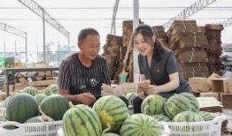 瓜田吃瓜网站入口,揭秘热门话题背后的真相与趣味