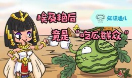 吃瓜群众的知识,吃瓜群众视角下的明星生活